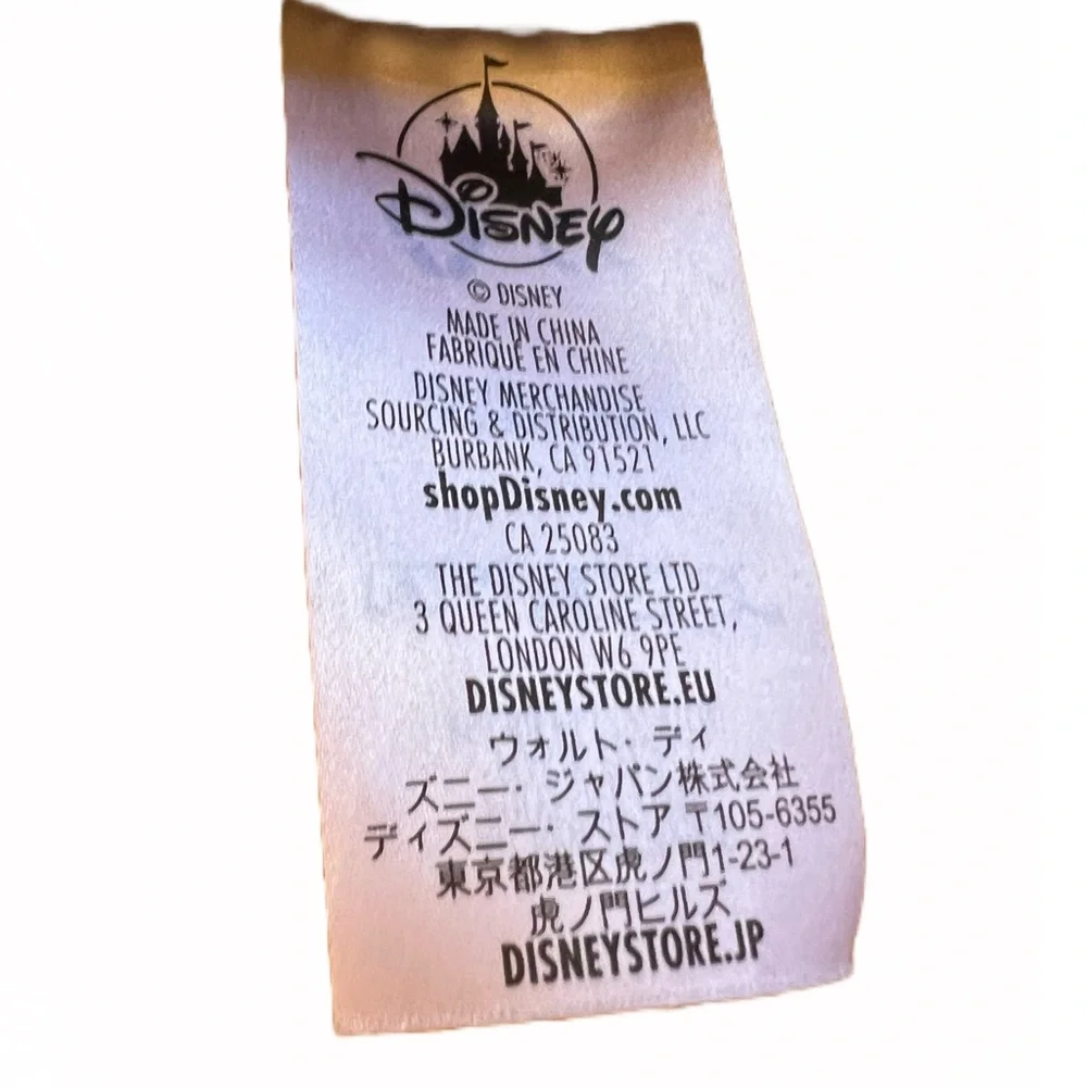 Disney euc bingo